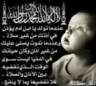 ������ ������� habib elrooh